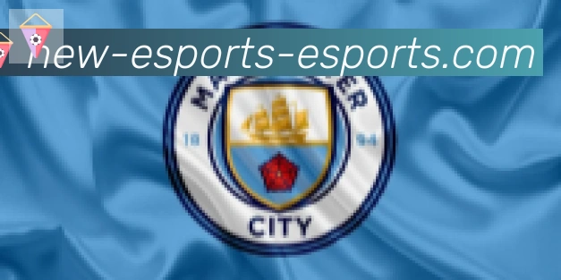 DOTA比分合作伙伴